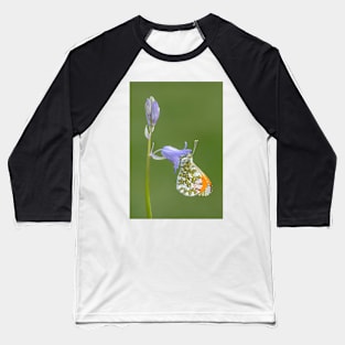 Orange Tip on a Bluebell with green background Baseball T-Shirt